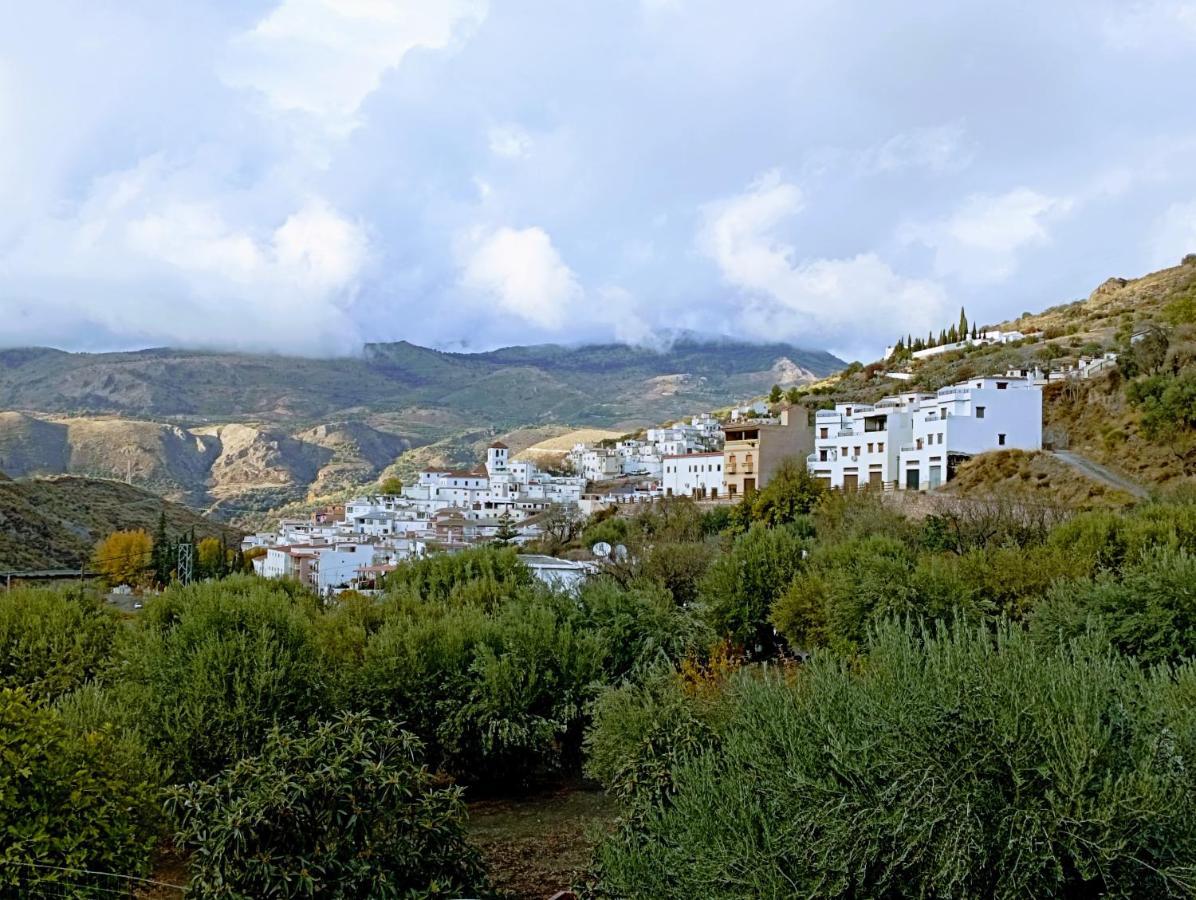 El Almendro De Maruja Apartman Torviscón Kültér fotó